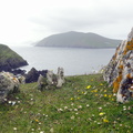 DSC06116